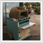 Wood burning domb oven