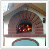 Wood burning domb oven