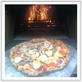 Wood burning domb oven