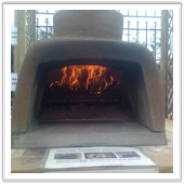Wood burning domb oven